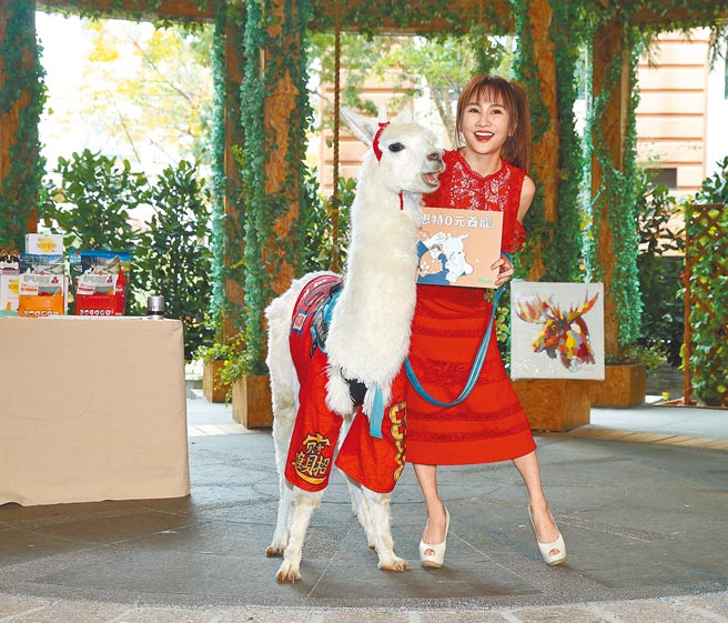 王宥忻昨带饲养的羊驼出席代言活动。（陈怡诚摄）