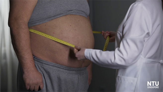 啤酒肚裡堆積的白色脂肪比較難分解，因此肥肚很難消。新加坡南洋理工發明一種硫化銅奈米粒子針劑，可以更有效燃脂。(圖/南洋理工大學)