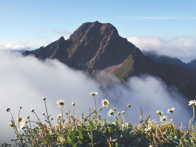 玉山是台湾圣山，也是最热门的登山路线。（廖志晃摄）