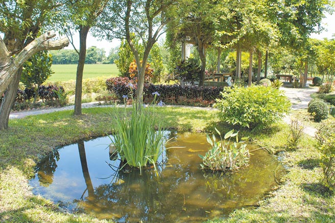 雲林縣二崙鄉崙西公園原本是空氣品質淨化區，在社區志工多年打造之下，有大片綠草皮、2個生態池、2座涼亭、紅磚步道、菜園、泡茶區。（周麗蘭攝）