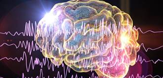 研究：新型基因療法TANGO 回復大腦神經所需蛋白