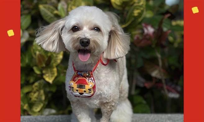 藺奕》失去母親的第一個除夕。（愛傳媒提供）