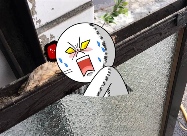 网友在洗窗户时，在窗沿发现一只乾掉的动物尸体。（翻摄脸书社团《爆废公社公开版》）