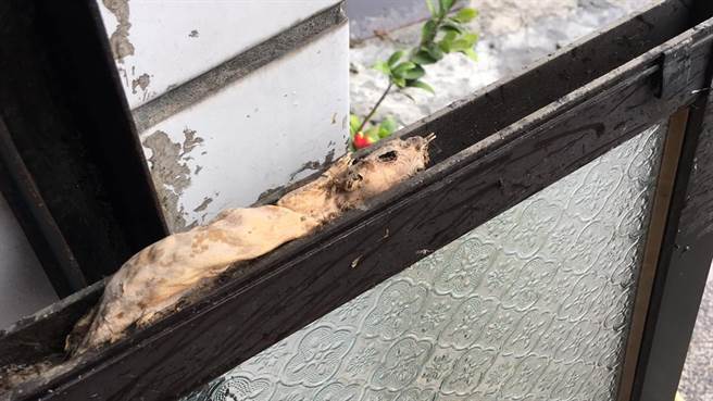 网友在洗窗户时，在窗沿发现一只乾掉的动物尸体。（翻摄脸书社团《爆废公社公开版》）