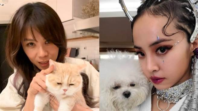 蔡依林（右）已经连续两年邀请蔡健雅（左）到她家一起过农历新年。（图／截取自两人IG）