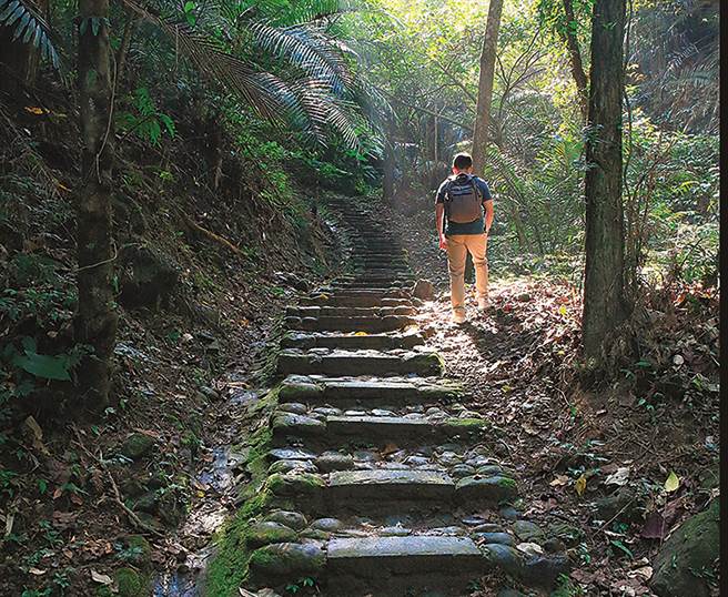 狮头山风景区藤坪步道，区内藤类50余种以上、蕨类有80多种，适合亲子健走吸取芬多精的好去处。 。（参山国家风景区管理处提供／黄国峰台中传真）