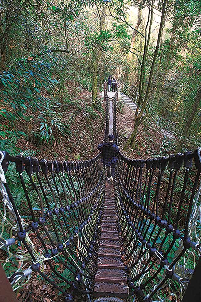 梨山希利克步道，挑战泰雅勇士之路。（参山国家风景区管理处提供／黄国峰台中传真）