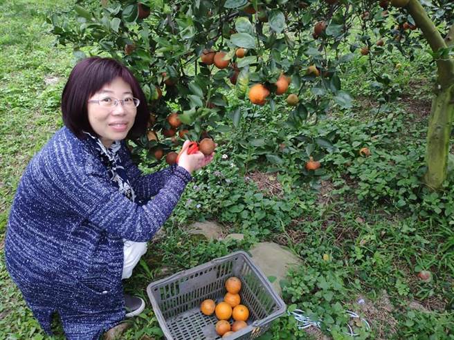 芳香疗法达人萧秀琴老师。(图/时报出版提供)