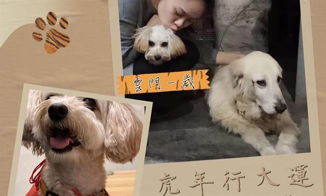 蔺奕》夫妻之间各种宫斗，就靠嘴甜！(爱传媒提供)