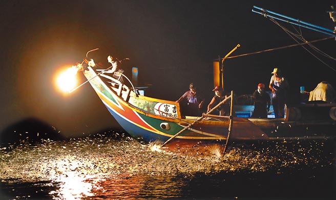 全世界还在作业的「火把渔业」仅剩金山的蹦火船，它不仅有渔获价值，更重要的是蕴含台湾传统捕鱼技艺的文化价值。■摄影／陈信翰