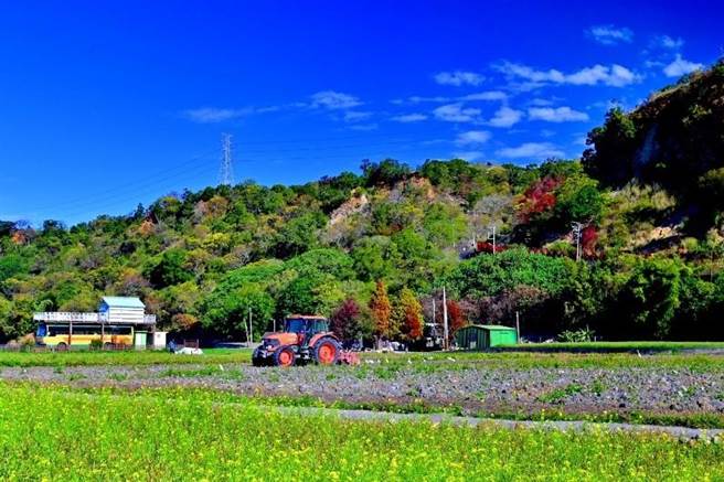 春節期間外埔忘憂谷進入翻土耕作狀態，當地農家開著耕耘機翻攪稻田，讓土地更鬆軟以利插秧。（台中市觀旅局提供／王文吉台中傳真）