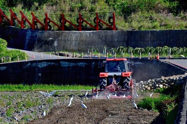 春節期間外埔忘憂谷進入翻土耕作狀態，當地農家開著耕耘機翻攪稻田，讓土地更鬆軟以利插秧。（台中市觀旅局提供／王文吉台中傳真）