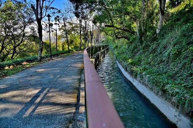 水流東桐花步道全長2.4公里，也適合散步或騎單車。（台中市觀旅局提供／王文吉台中傳真）