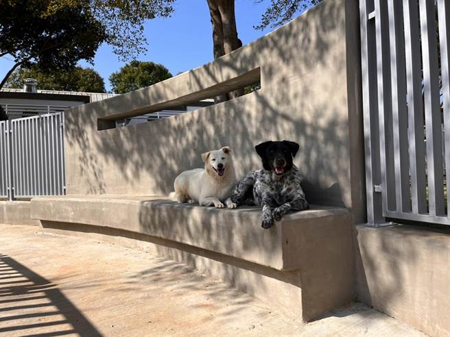 動物之家南屯園區建造出符合動物福利、觀光休閒及建築美學的園區，揮別過去動物收容負面形象。（台中市農業局提供／王文吉台中傳真）