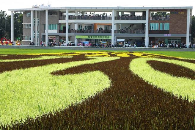 不畏疫情，屏东热带农业博览会开幕至大年初四，入园人次破60万。（谢佳潾摄）