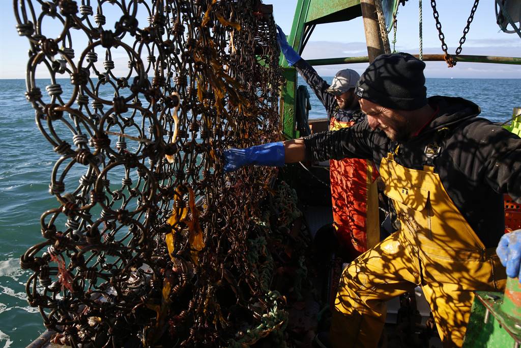 法国大西洋沿岸近日发生1艘拖网渔船渔网破裂，导致超过10万条死鱼飘浮于该国大西洋沿岸，覆盖面积达3,000平方公尺。图为在英法水域捕鱼的渔船，非当事船。图/美联社(photo:ChinaTimes)