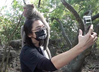 用鏡頭看台灣》《壽山猴賽雷 探索頑皮世界》林美吟成立導覽團扭轉台灣彌猴負面形象
