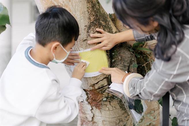 学童透过触摸、复写、採集的实作，增进日常生活中的环境体验。（教育部提供／林志成台北传真）