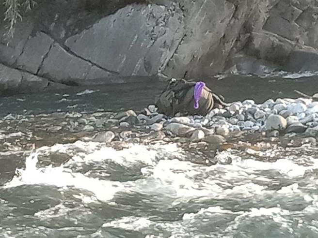 苗栗县泰安乡梅园村大安溪水因连日大雨溪水湍急。（苗栗县消防局第5大队提供／谢明俊苗栗传真）