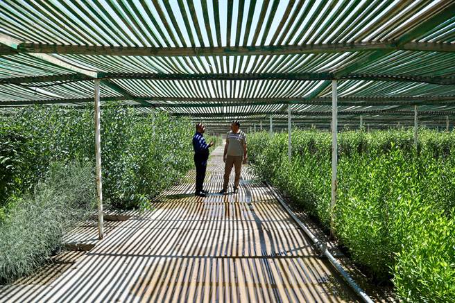 图为大陆协助伊拉克进行一带一路绿色建设。(图/新华社)