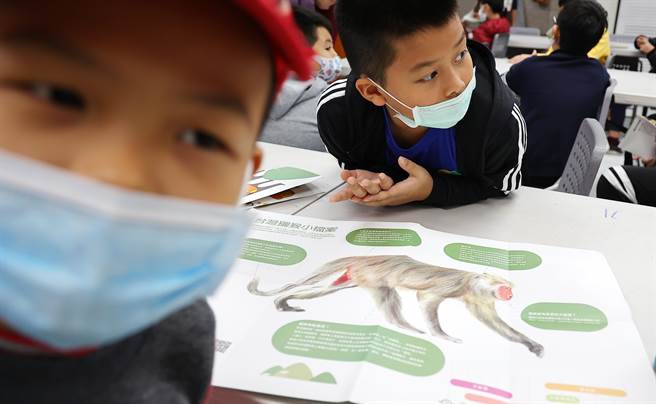 林美吟常透过入校宣导与演讲，并搭配精美的图文猕猴绘本跟小朋友沟通。（季志翔摄）