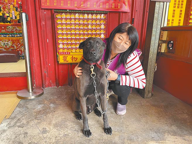 新北市中和受镇宫推出宠物平安灯，每年都有不少饲主前往点灯，替宠物祈求新的一年平安。（叶书宏摄）