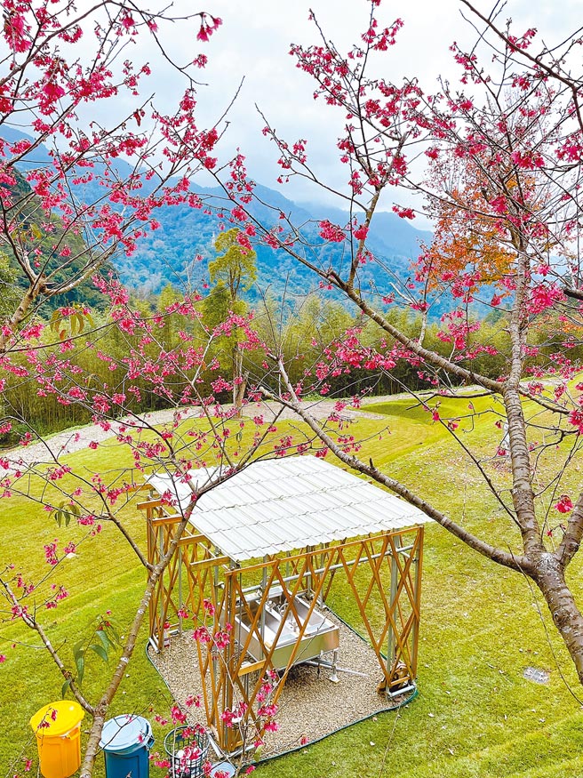 森露台野營場內有日式設計洗手台，搭配櫻花相得益彰。（吳娮翎攝）