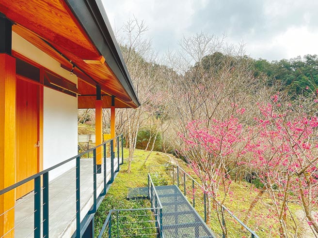 旅日設計師經營的森露台野營場，試營運期間獲得好口碑。（吳娮翎攝）