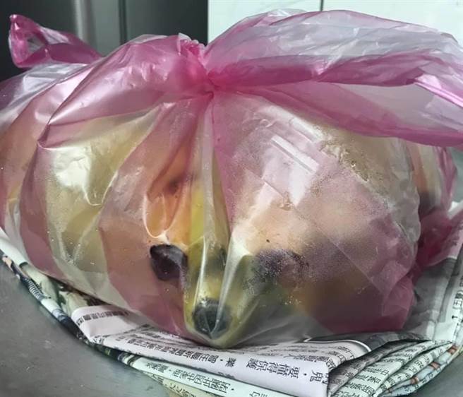 一名女网友贴出一张照片，只见一只吉娃娃受困在塑胶袋里，不过仔细看才发现，那其实是3根香蕉的根部，并非吉娃娃。（图／翻摄脸书社团爆废公社二馆）