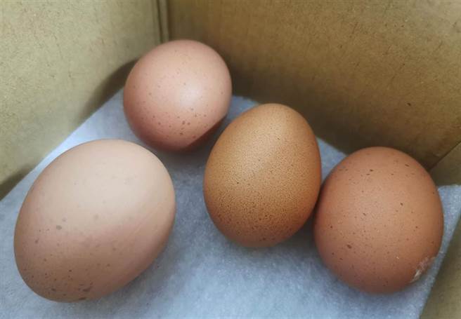 全国鸡蛋荒，北部来台中扫货，造成台中鸡蛋价格微量上扬。（黄国峰摄）