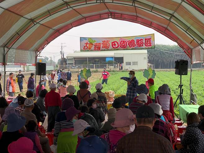 今年因疫情缩小规模，取消表演等活动项目，但为维繫地方产业行销，农会2月19、20日在南19线牛蒡工场旁举办拔萝卜体验。（将军区农会提供／张毓翎台南传真）