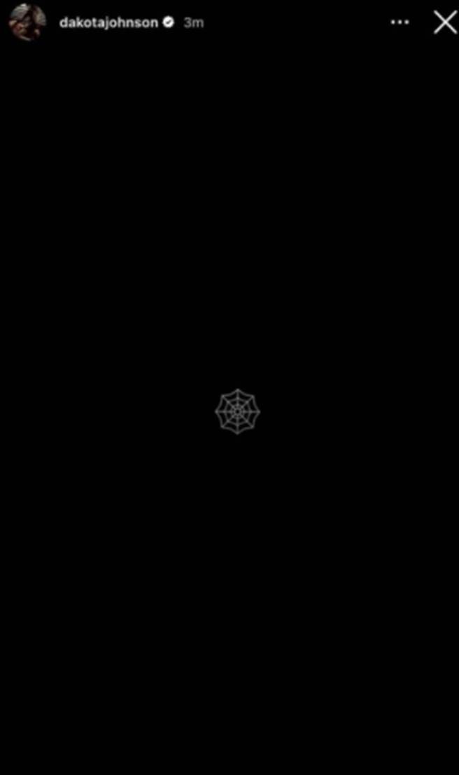 达珂塔强生在IG贴出蜘蛛网图片，意有所指她将演出「蜘蛛夫人」。（图／截取自IG@dakotajohnson）