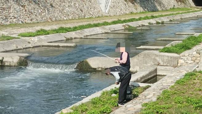 台中市柳川整治有成，出現民眾釣魚景象，市府提醒顧慮自身安全，不要到渠道中釣魚。（讀者提供／盧金足台中傳真）