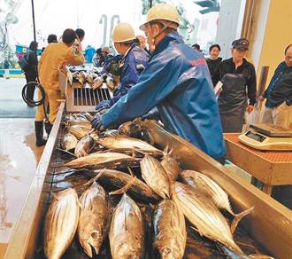 開鍘！餐廳謊稱自家漁產來自千葉縣 北市開罰4萬元