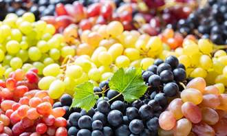吃葡萄降膽固醇 4種顏色葡萄功效一次看