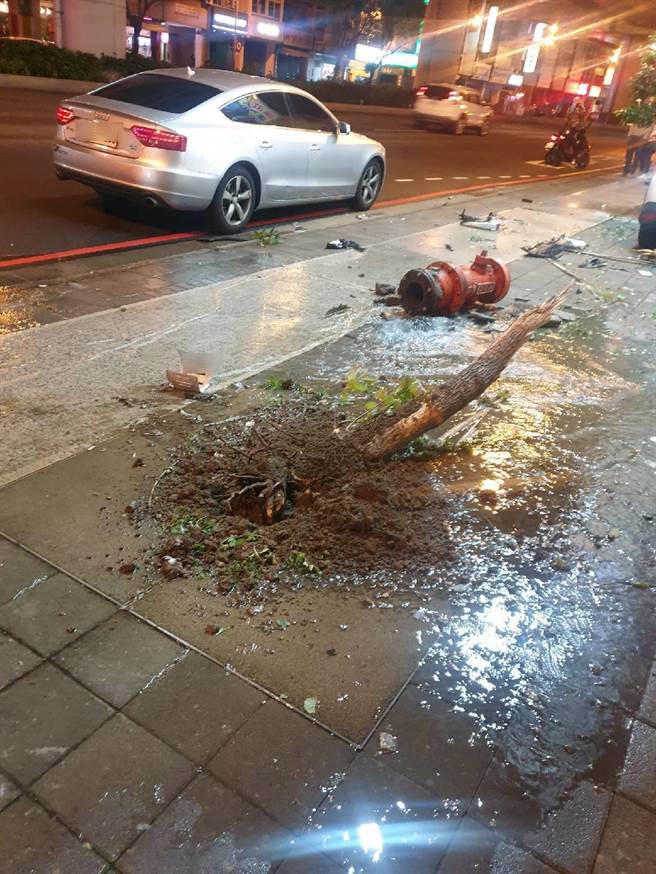 兩車碰撞後，造成樹木被撞倒，消防栓斷裂漏水，幸好兩車駕駛均未受傷。（民眾提供／盧金足台中傳真）