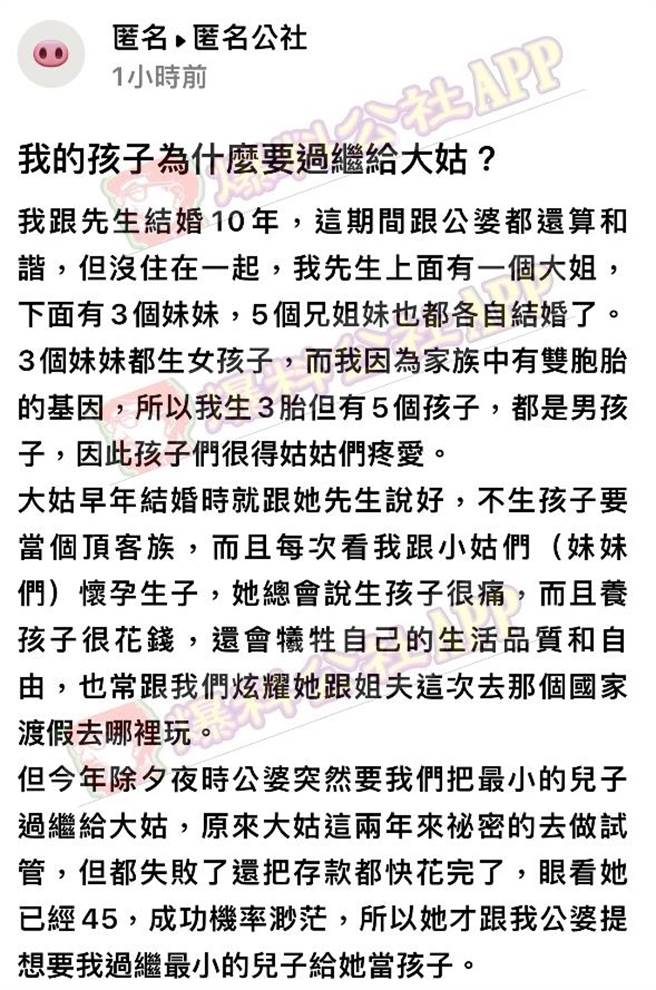 女网友的大姑早年结婚时决定当「顶客族」，今年过年婆婆突然对她说大姑近年花光积蓄偷偷做试管婴儿失败，希望她将最小儿子过继给大姑，她断然拒绝。（翻摄自「爆料公社－匿名公社」）