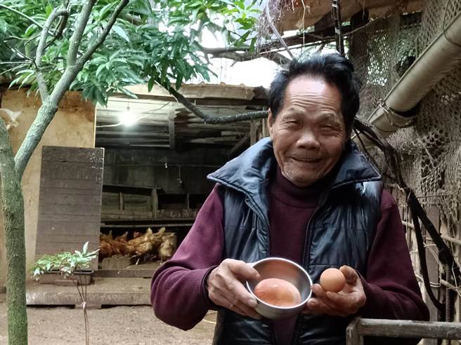 家中母鸡在年初二产下一颗罕见巨蛋，年逾8旬的「齿仔伯」相当开心。（陈淑娥摄）