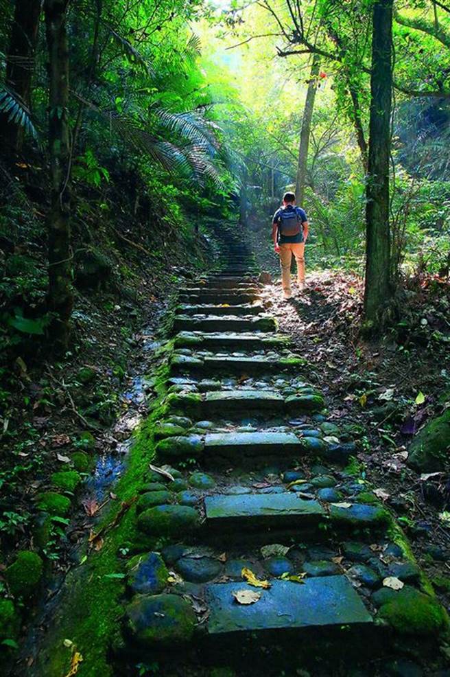 漫遊山林 森 呼吸走春參山步道聞花香 生活 中時新聞網