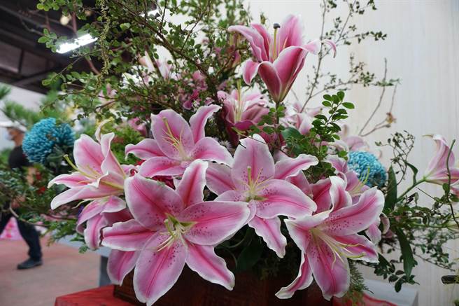 香水百合花朵大且顏色豐富，是居家最好的花卉布置之一。（本報資料照片） 