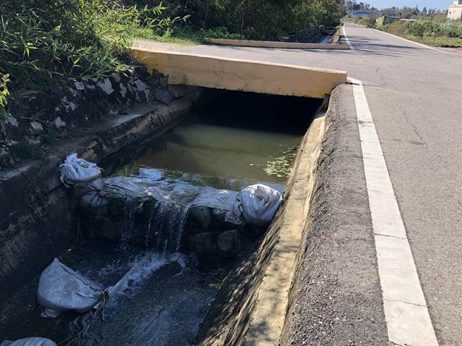 金门立春后的雨水，不但滋润苦旱的农地，也让农塘、水沟再见潺潺流水，预期有助于田间农作成长。（李金生摄）