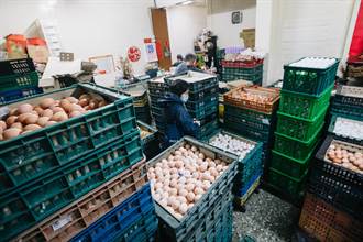 向蔡總統請命 中常委：政府介入自由市場 補助讓蛋農看得到吃不到