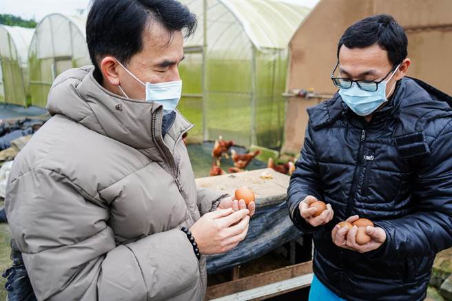 周好小農場周業鑑(右)與藍品畯區長(左)分享選蛋的秘訣（林口區公所提供／戴上容新北傳真）