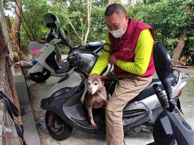 马术教练曾瑞堂转任五股动保员，半年让7只毛宝贝找到新家（动保处提供／戴上容新北传真）