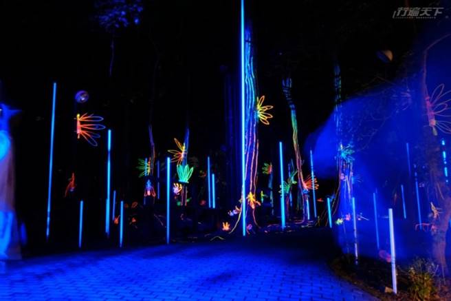 利用塑形與材質幻化，讓入夜後的山林成了一座大型遊樂場。(圖/行遍天下)