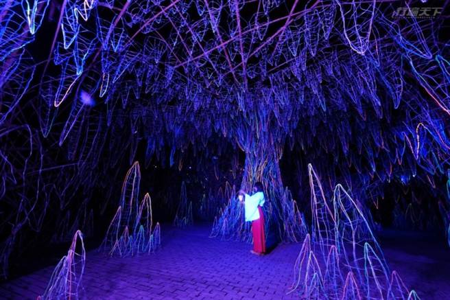 已經正式開放的空山祭能在山林裡感受與奇幻光影的相遇。此為辛綺的作品《光洞》(圖/行遍天下)