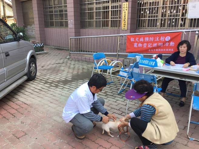 台南今年首见染狂犬病鼬獾咬人，市府呼吁饲主应为宠物定期施打狂犬病疫苗。（台南市政府农业局提供／张毓翎台南传真）