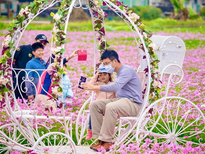 高雄市美浓区今年花海的创意主题特色装置艺术并结合美浓地景，让游客从白天玩到晚上都不无聊，成功吸引游客前来赏花，创下疫情来最高峰人潮。（林雅惠摄）