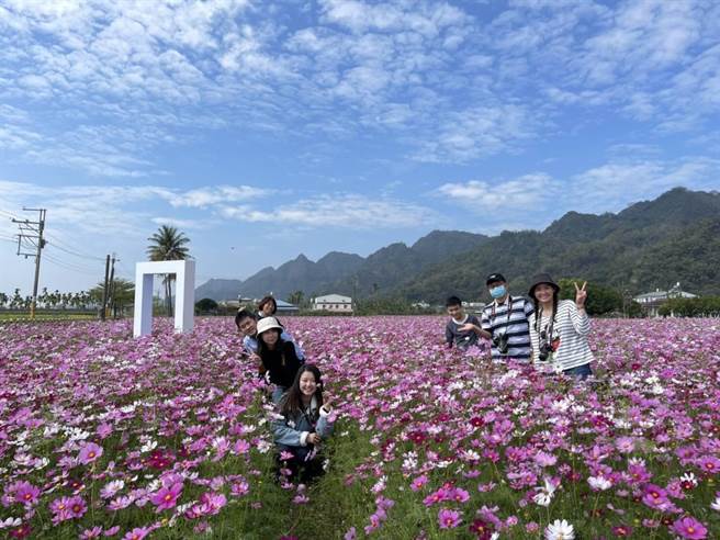 高雄市美浓区今年花海的创意主题特色装置艺术并结合美浓地景，让游客从白天玩到晚上都不无聊，成功吸引游客前来赏花，创下疫情来最高峰人潮。（林雅惠摄）
