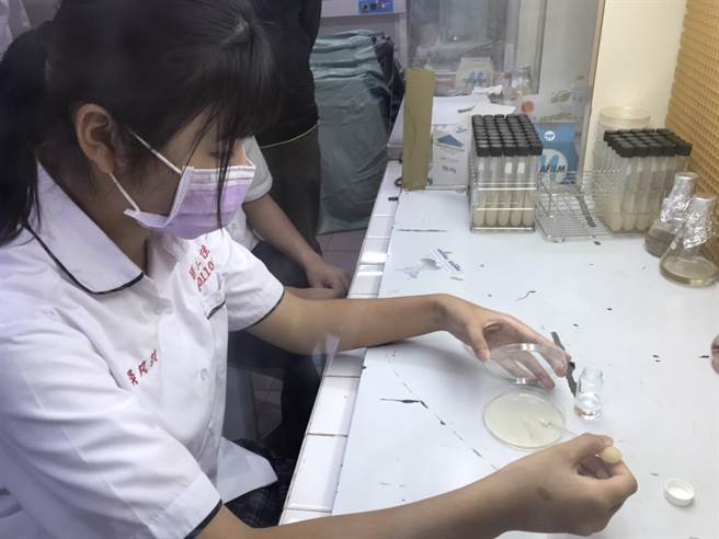 2人不約而同道，培育太空種子發芽顛覆他們對農業的既有印象，原來待在實驗室也能從事農事。（謝佳潾攝）